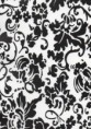 /album/folie/a70-flower-jpg/